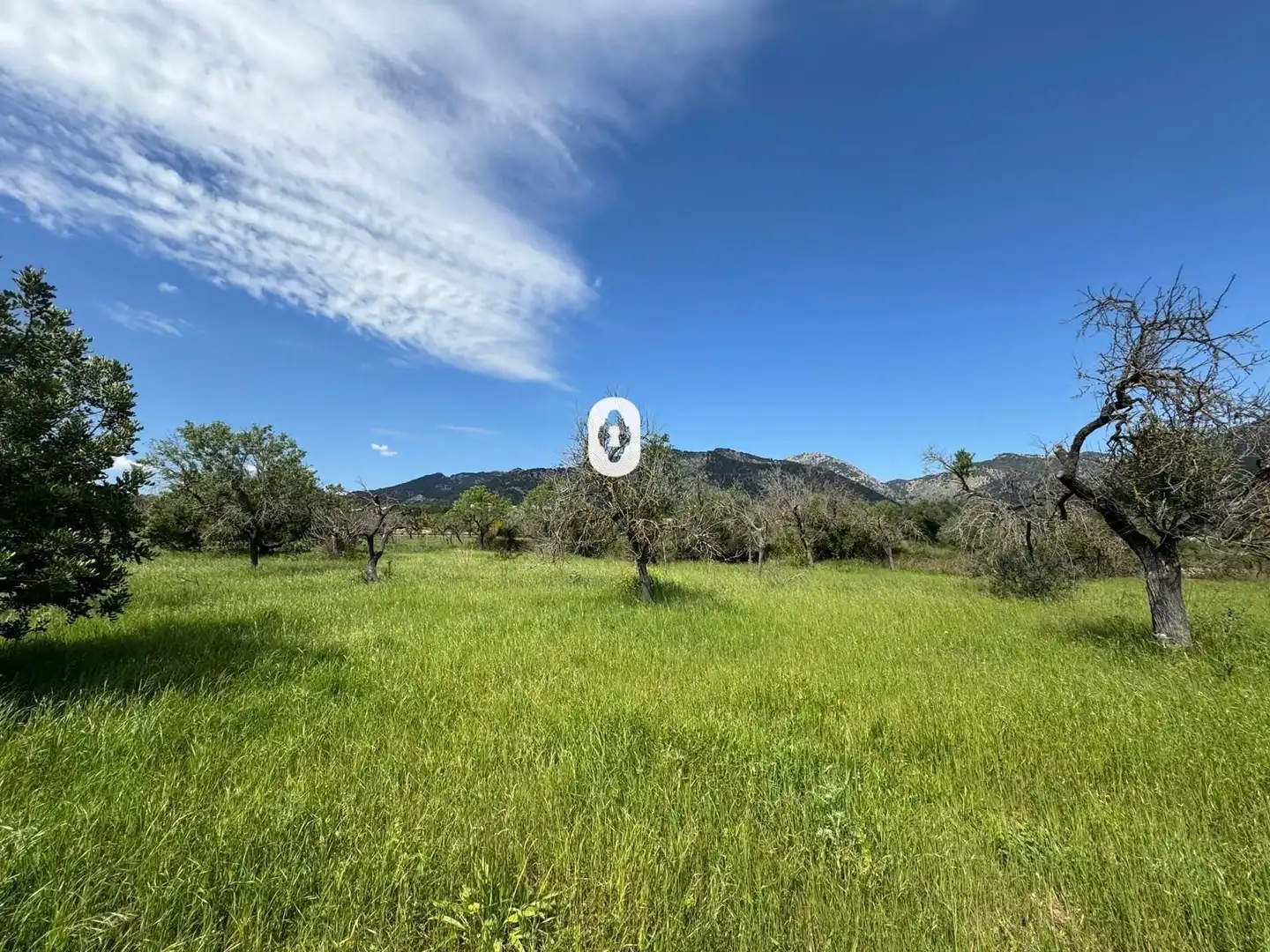 Residential for sale in Polígono 15 Parcela 49 SON MORRO. SELVA (ILLES BA, Selva