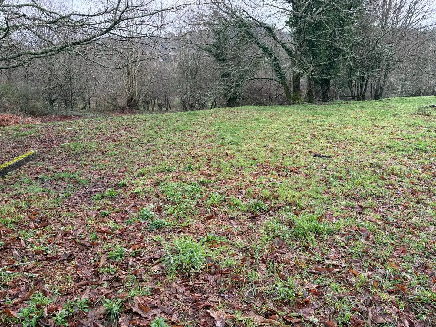 Habitatge amb jardí en venda a Mondariz-Balneario, imagen 6