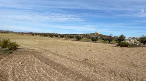 SE VENDE FINCA RUSTICA EN SONSECA POR 14.900 €, immagine 4
