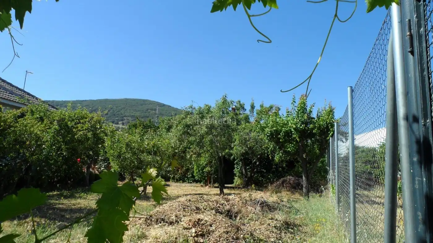 Chalet con jardín en venta en Calle Matadero 5, imagen 8