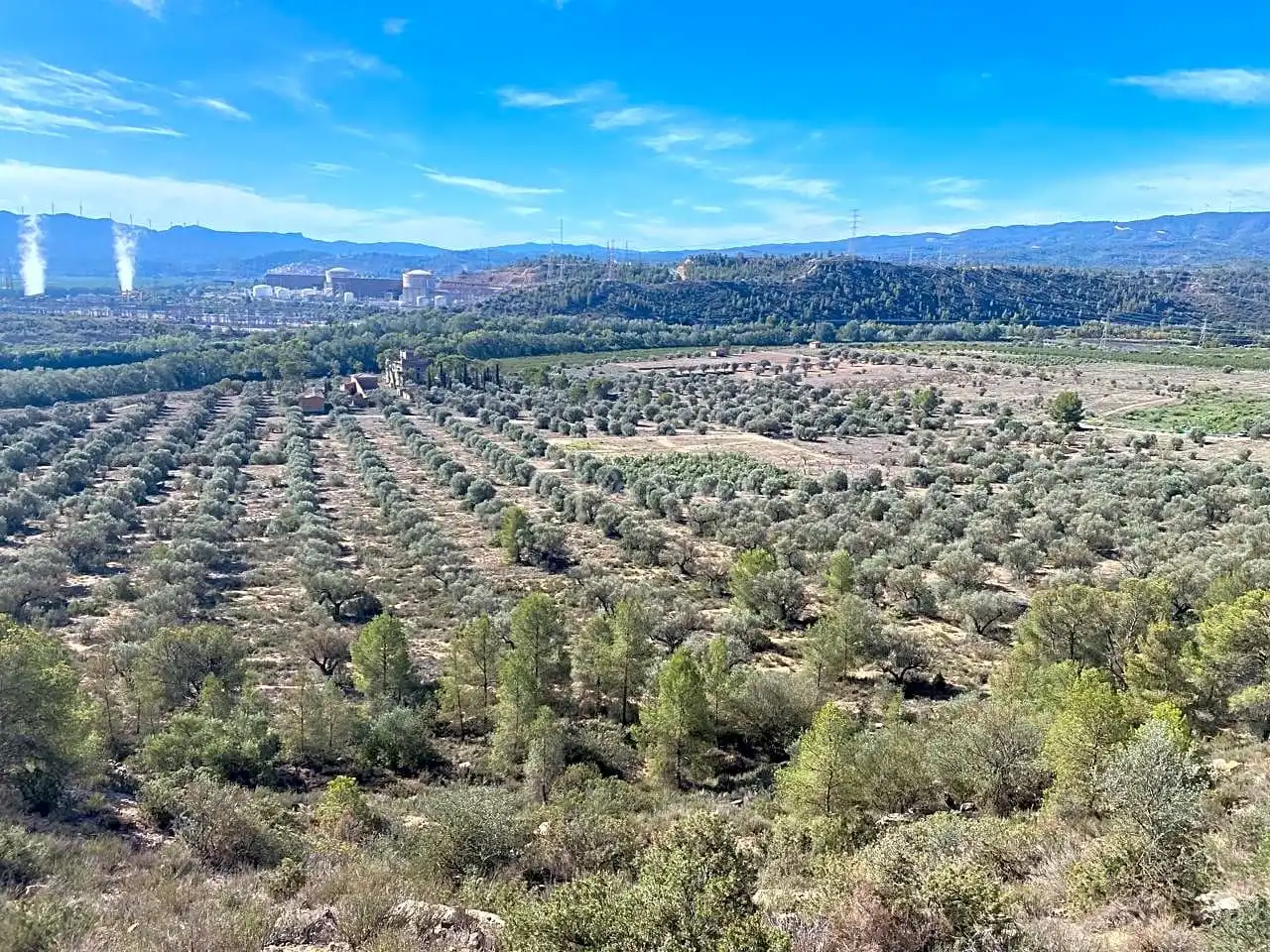 Terrain rustique à vendre à Aixalella, imagen 46
