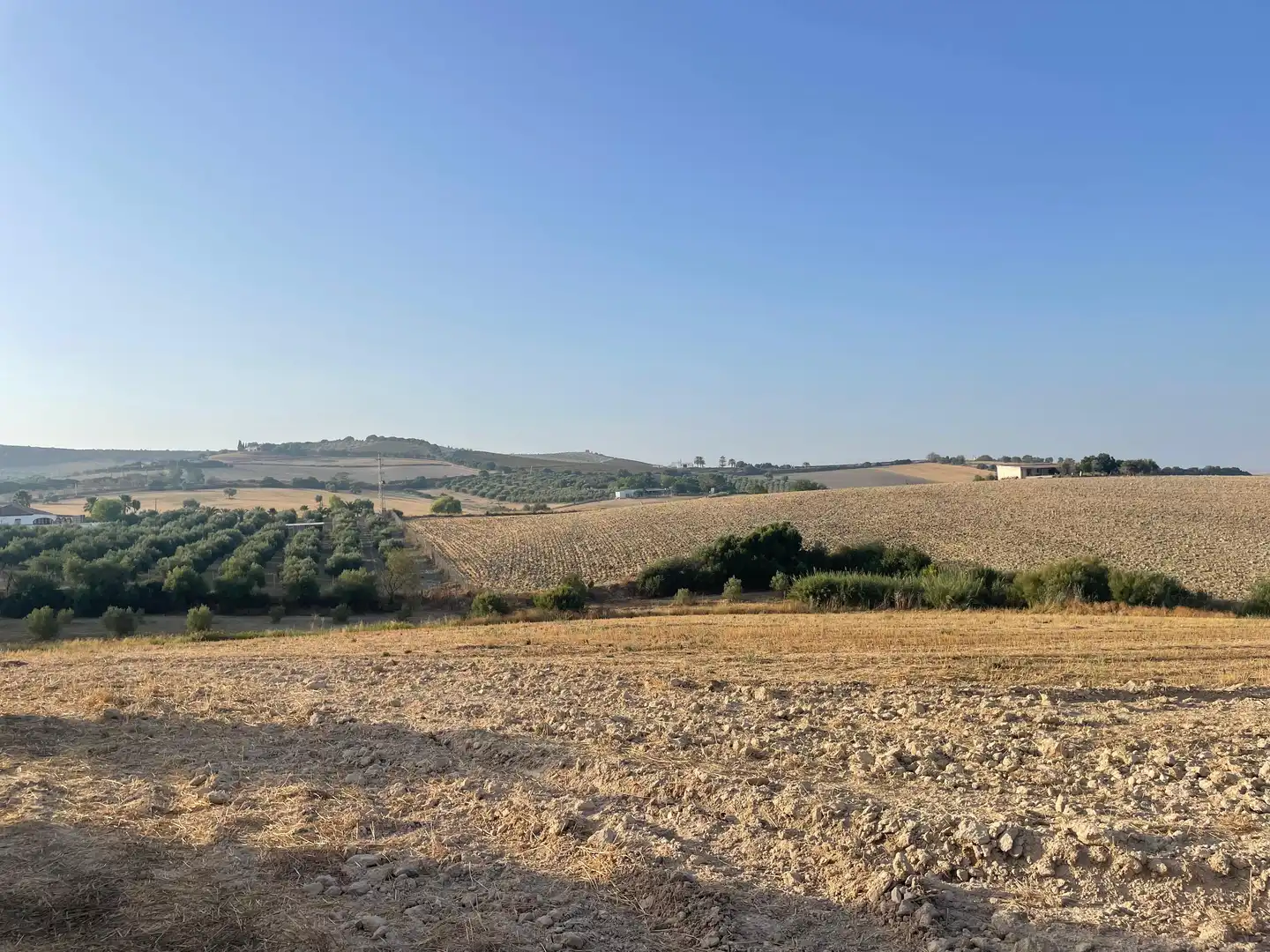 Casa rústica en venda a Arcos de la Frontera, imagen 6