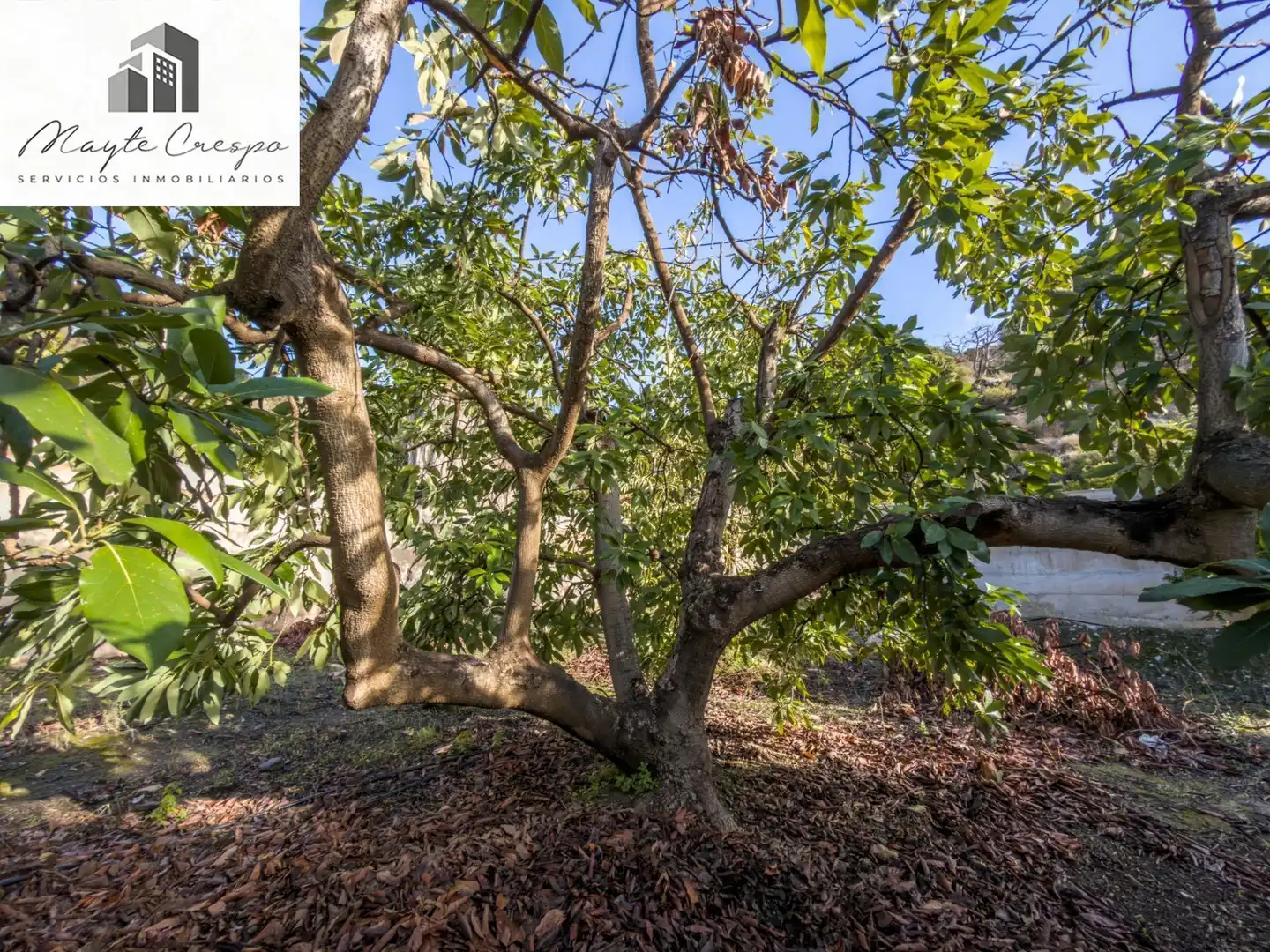 Casa rústica en venta en Calle Diseminados, Pol-8 Par-359, imagen 25