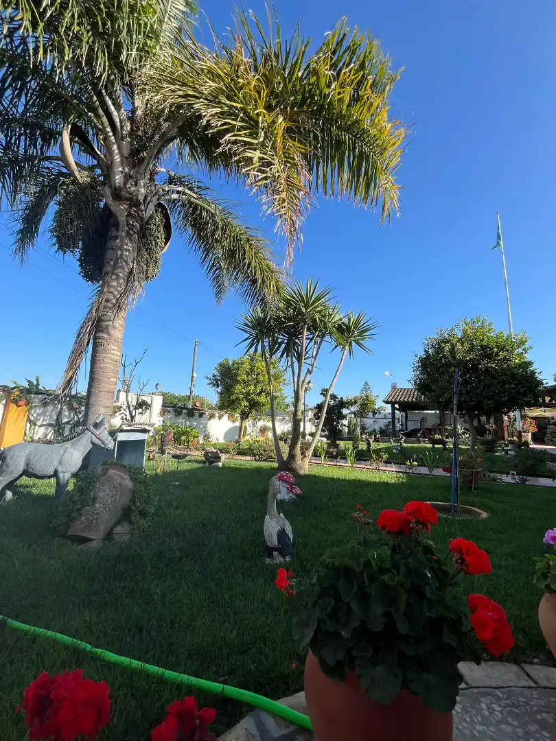 Chalet en venta en Los Franceses – La Vega, imagen 7