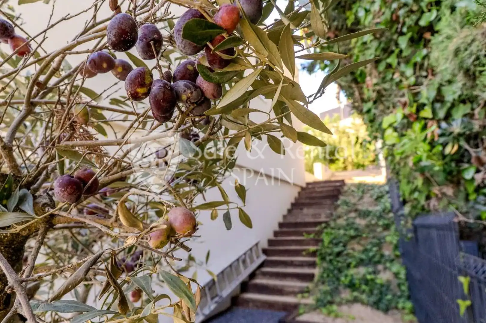 Casa con piscina en venta en Roca Grossa, imagen 24
