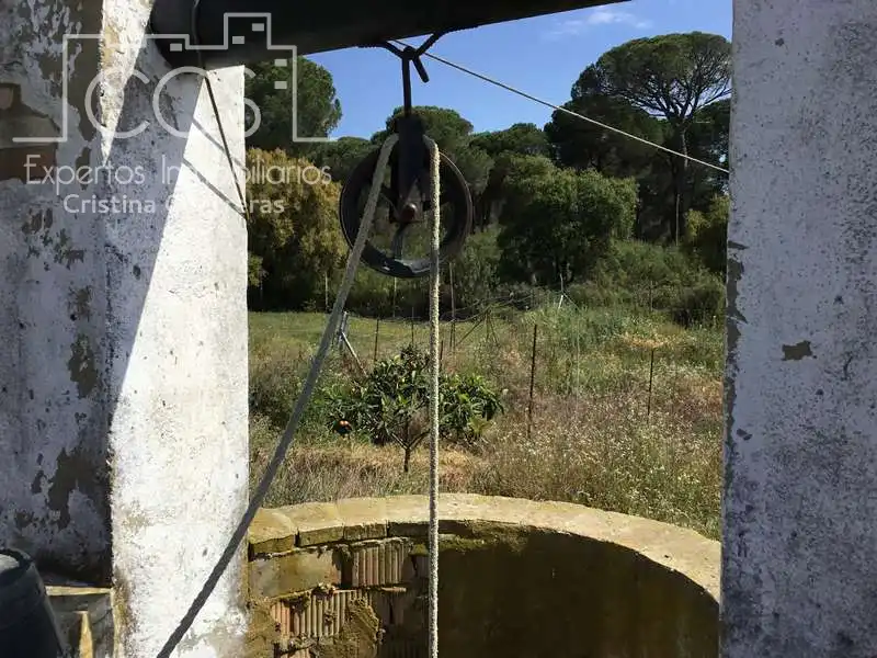 Jardí de Finca rústica en venda en Almonte amb Terrassa i Moblat