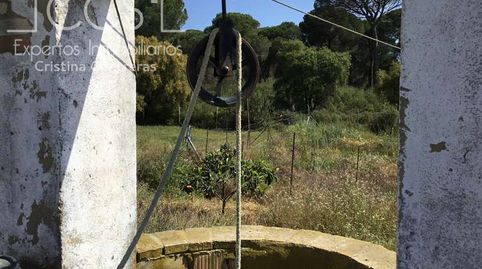 Foto 4 de Finca rústica en venda a Almonte ciudad, Almonte