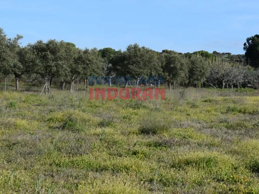 Terreni e lotti in vendita a Saucedilla, imagen 4