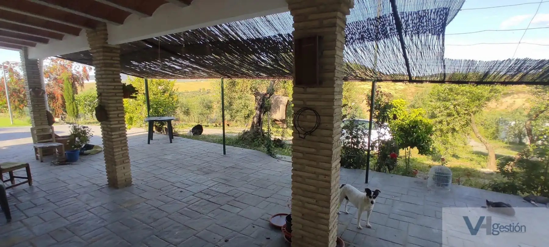 Casa rústica amb piscina en venda a El Coronil, imagen 4