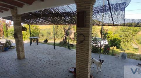 El CoronilFinca Rustica, immagine 4