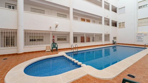 Photo 2 of Apartments for sale in San Luis, 1, Parque de las Naciones, Torrevieja