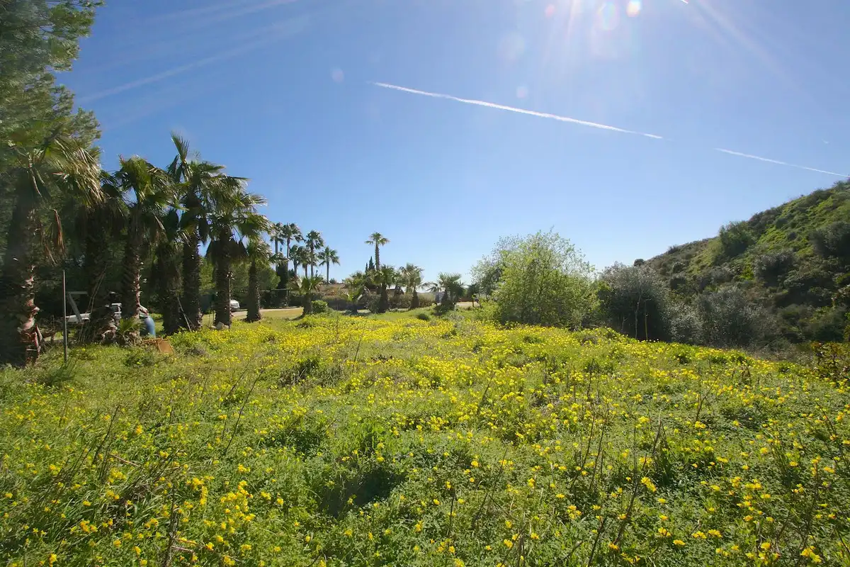 Casa rústica en venda a Mijas pueblo, imagen 40