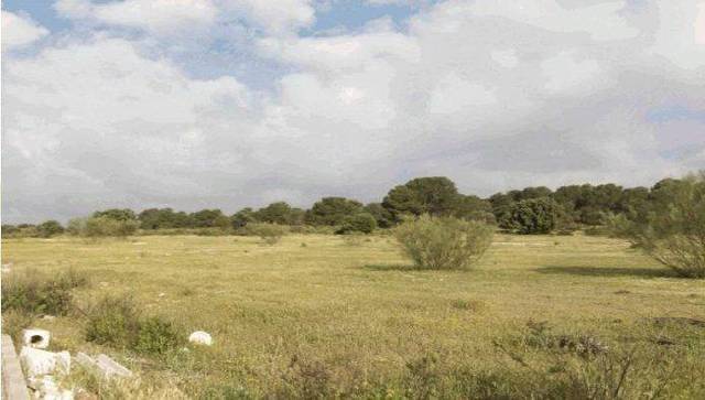 Terreno en Venta en Calicasas