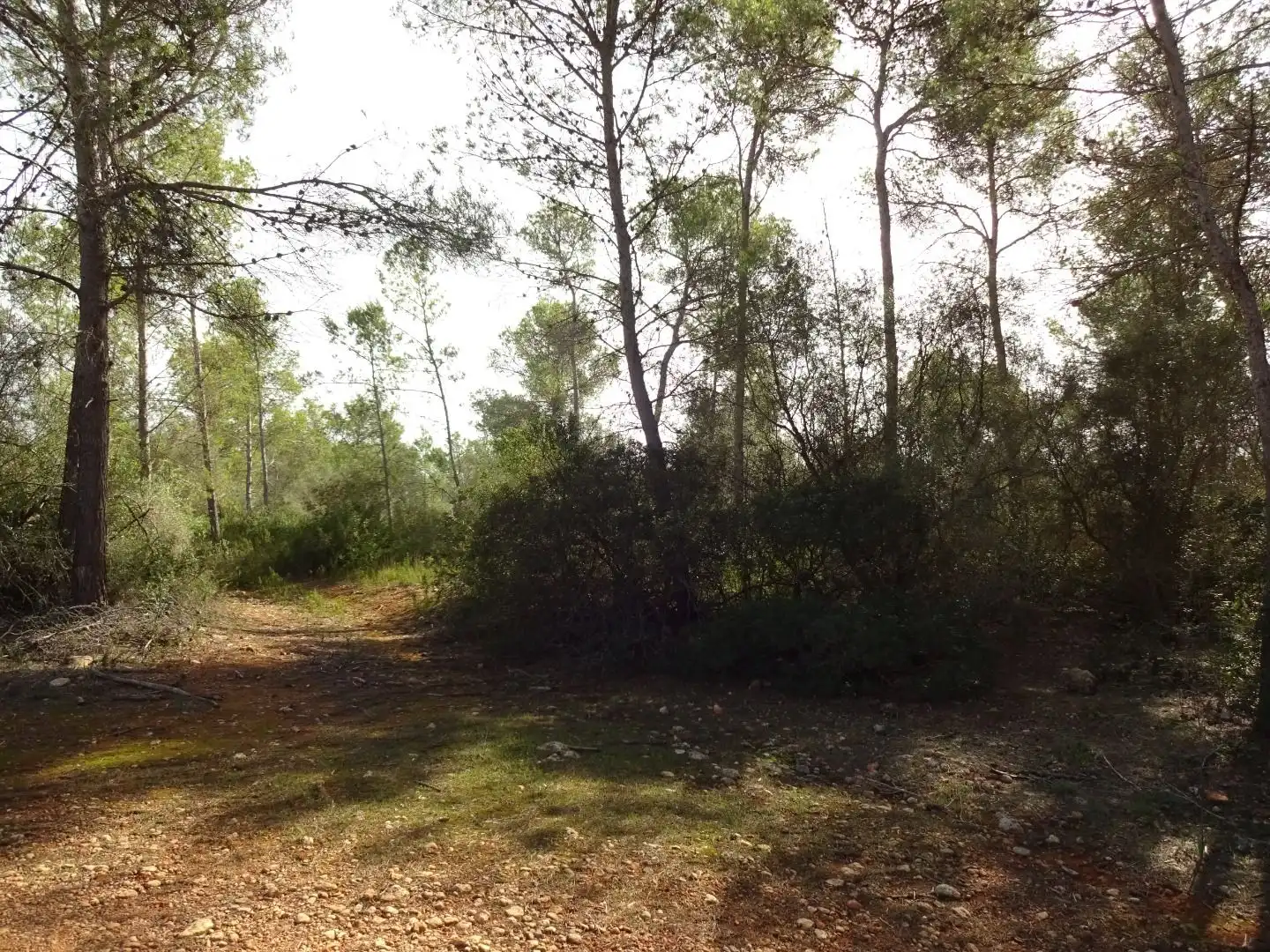 Finca rústica en venta en  Palma de Mallorca
