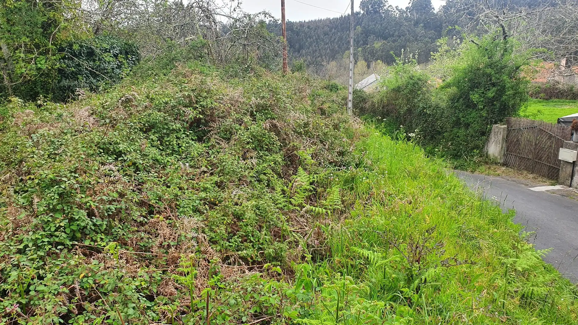 Wohnbaugrundstück zum Verkauf in Vilarmaior, imagen 7