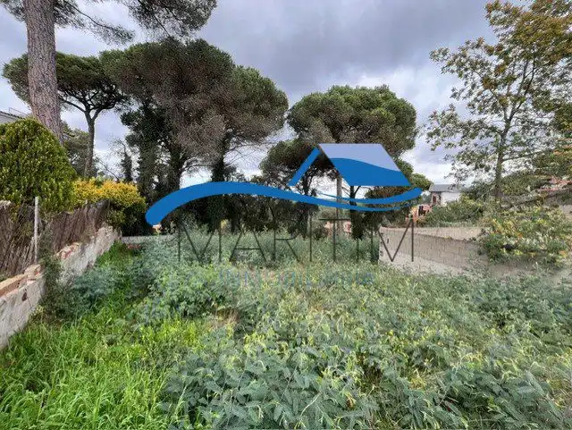 Terrenos y solares en venta en Sensitiva, imagen 11