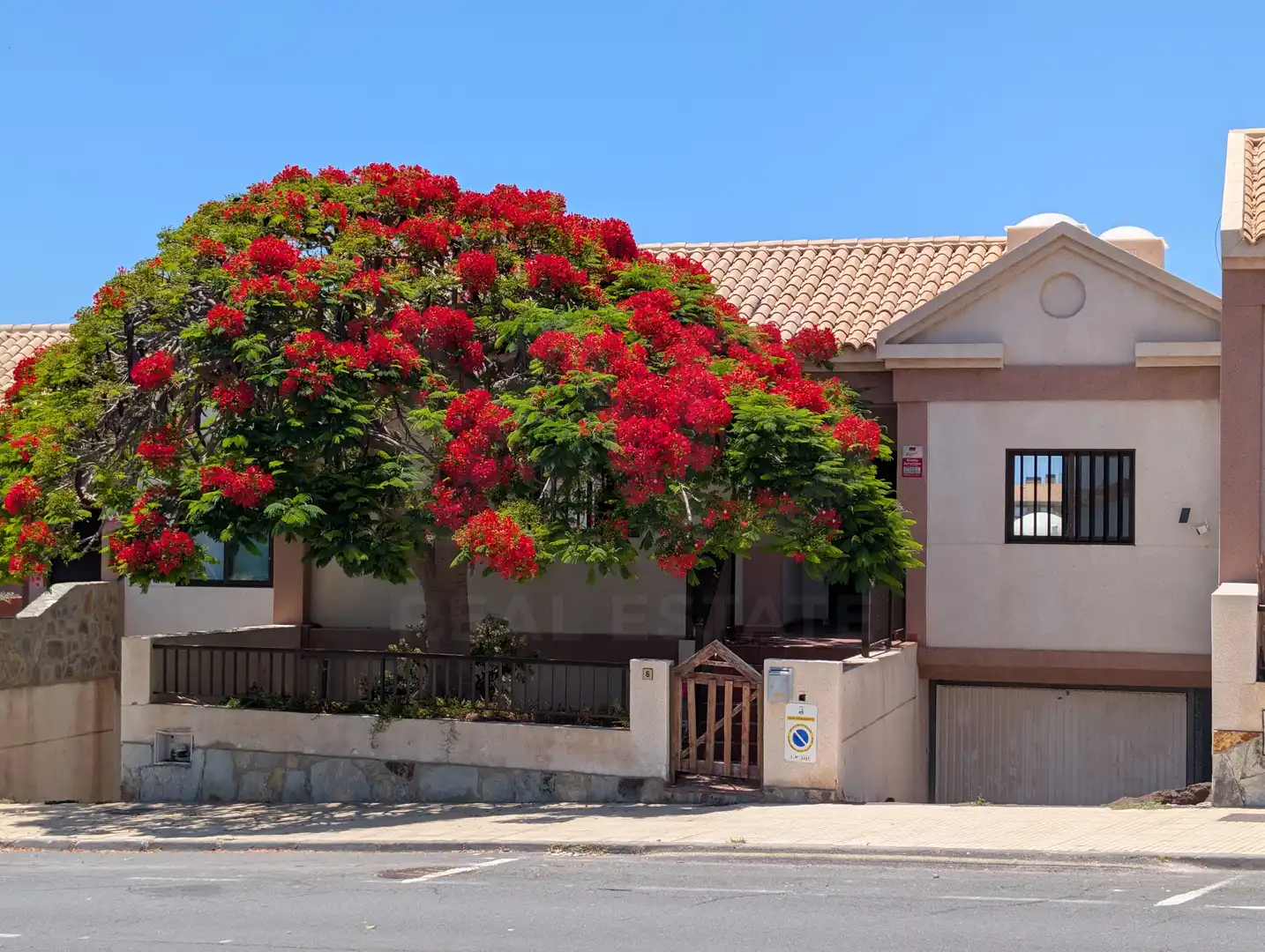 Vista exterior de Casa o xalet en venda en Adeje amb Terrassa i Piscina