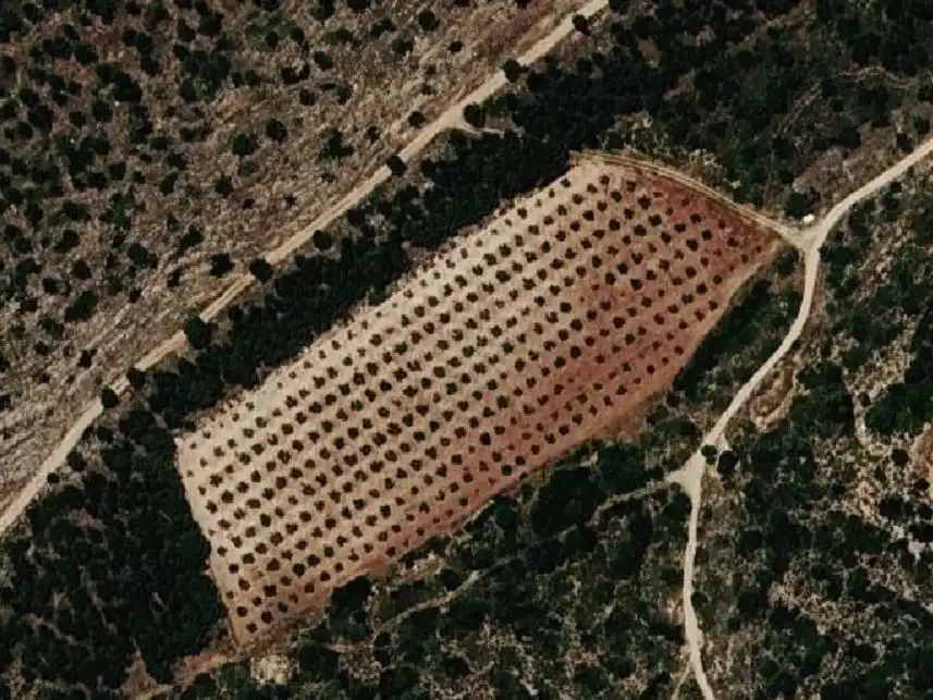 Terreno en venta en Fontanars dels Alforins