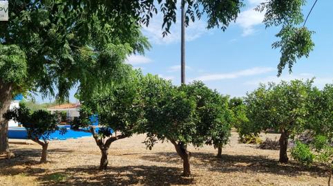 Foto 5 de Finca rústica en venda a Costa Norte, Castellón