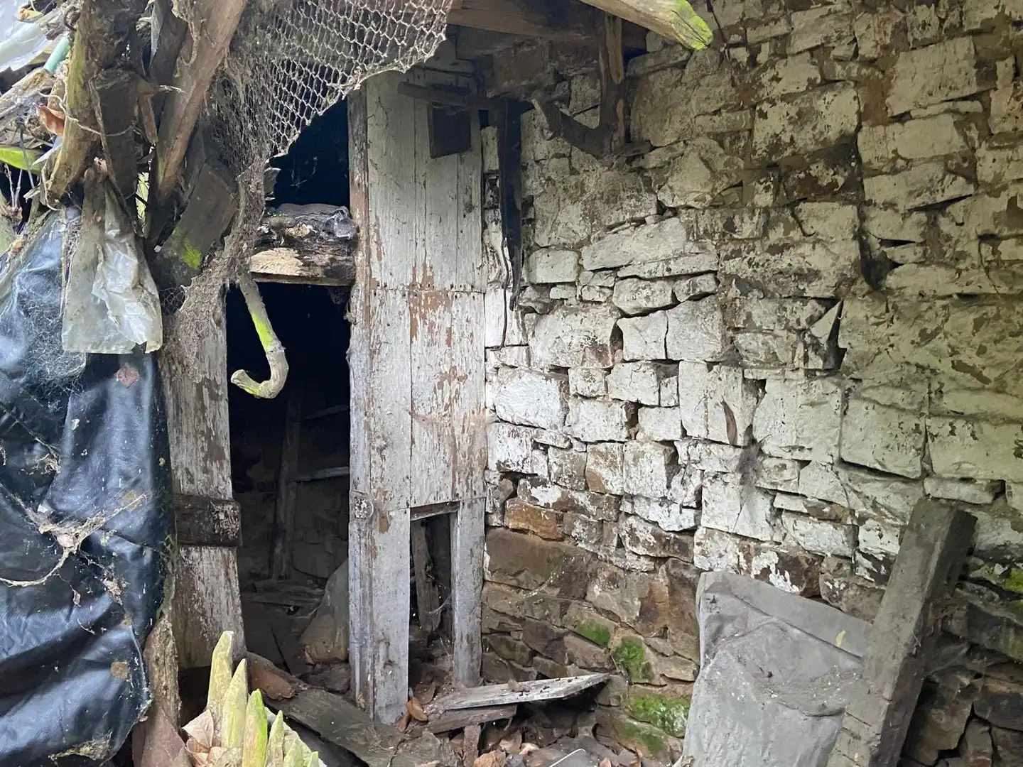 Maison rustique à vendre à SARABIA, imagen 4