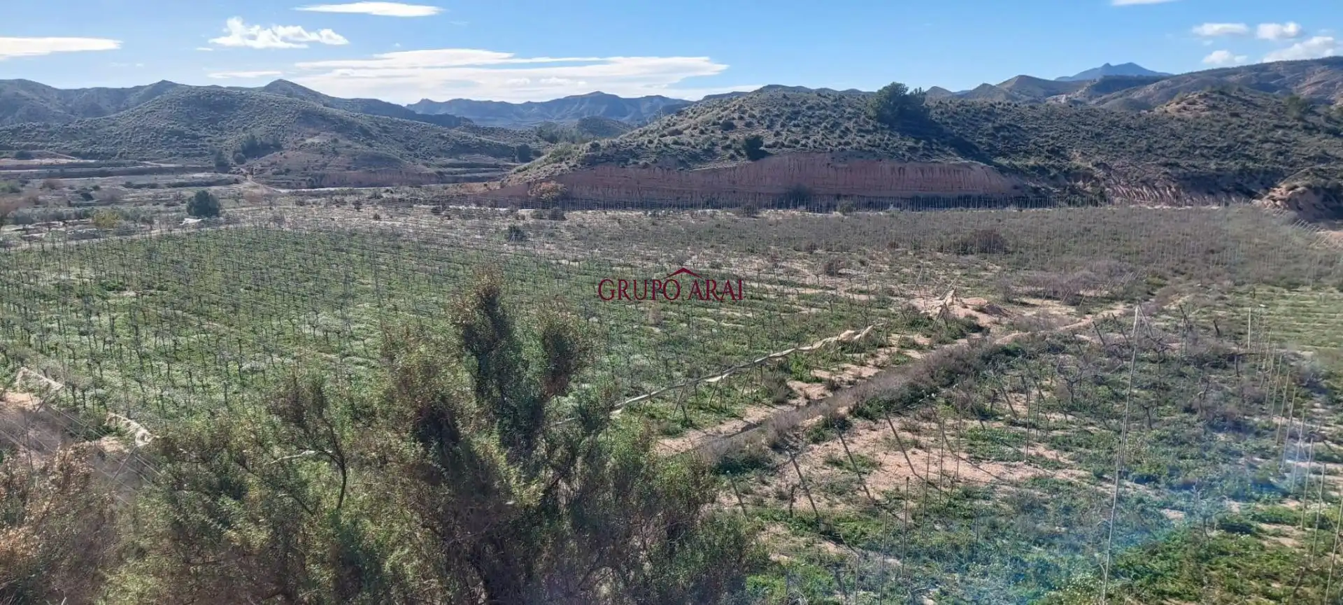 Terreno rústico en venta en Avenida del Mediterráneo, imagen 6