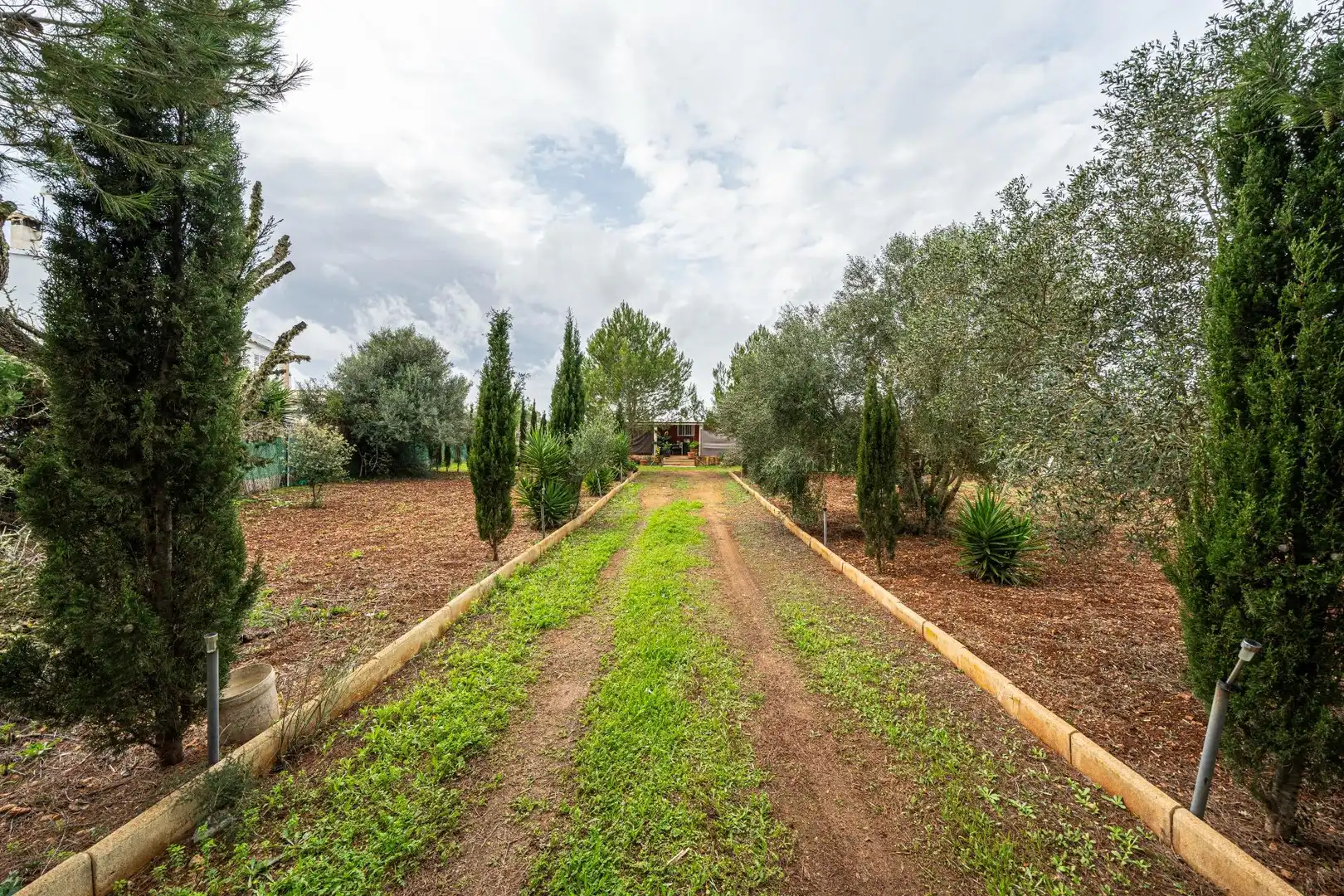 Terreno rustico in vendita a Camino SO N´AMORA NOU, imagen 27