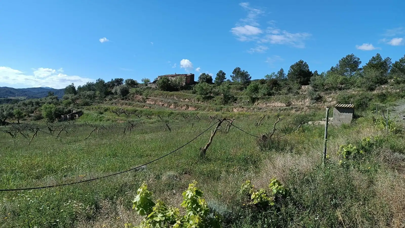 Terreno en venta en La Fatarella