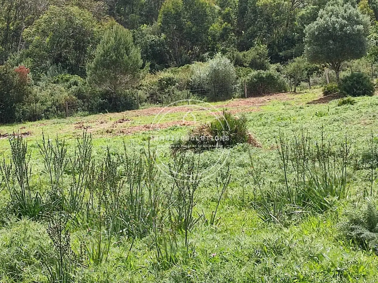Terreno rustico in vendita a Tarifa ciudad, imagen 8