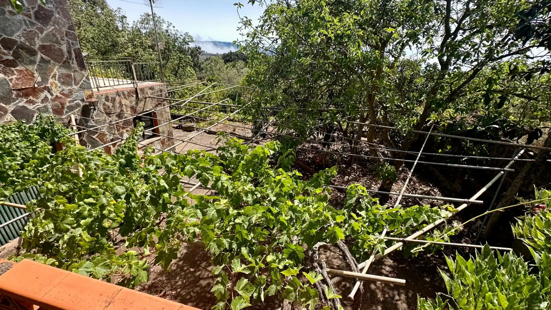 Jardín de Finca rústica en venta en El Rosario con Jardín privado, Terraza y Alarma