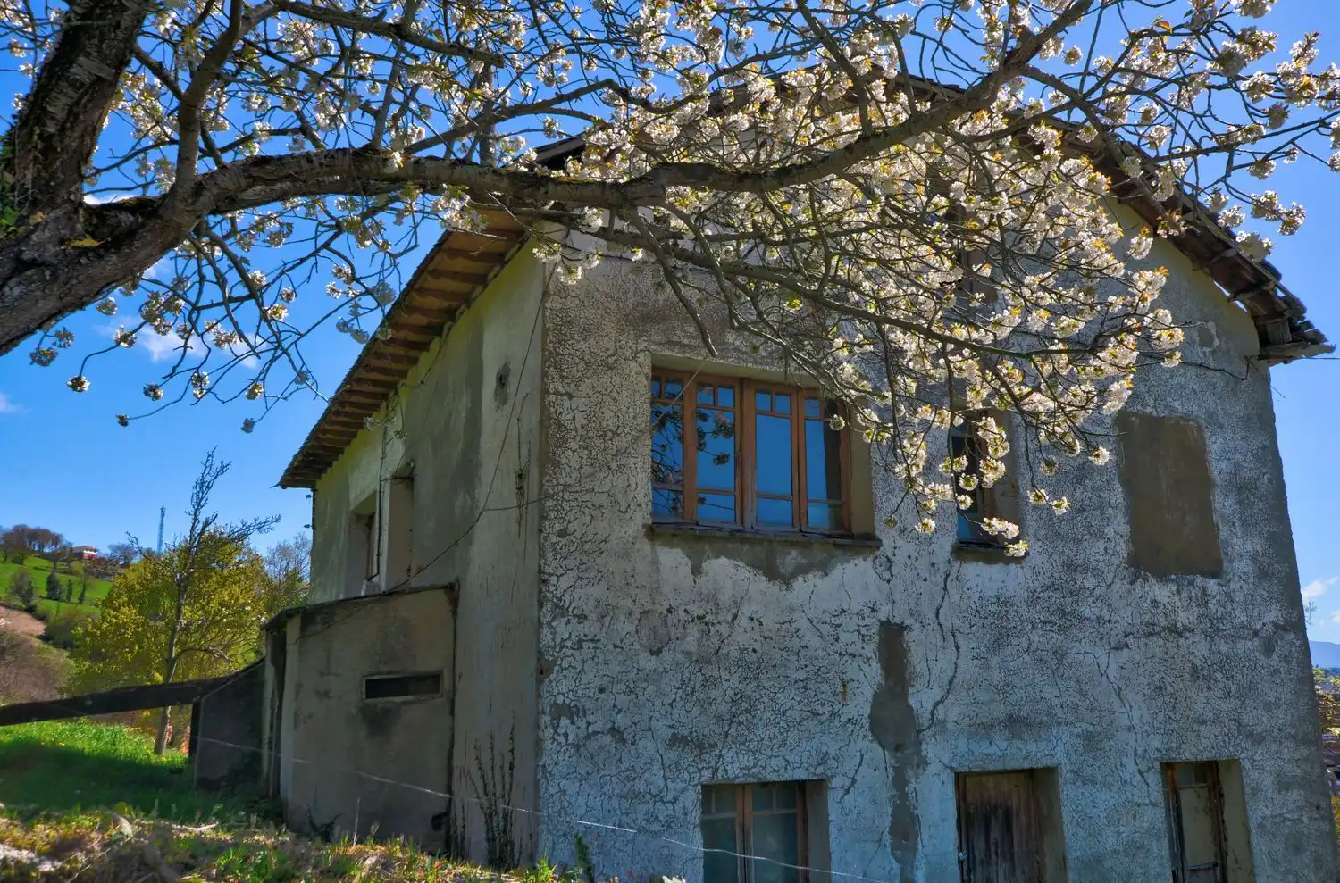 Vista exterior de Casa o chalet en venta en Tineo con Piscina