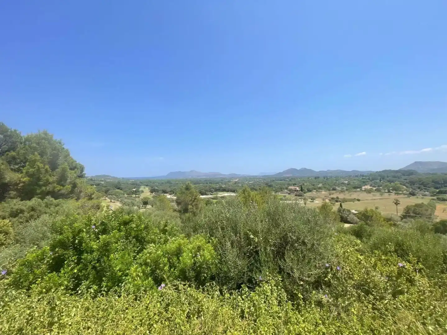 Fabrik Grundstücke zum Verkauf in Pollença