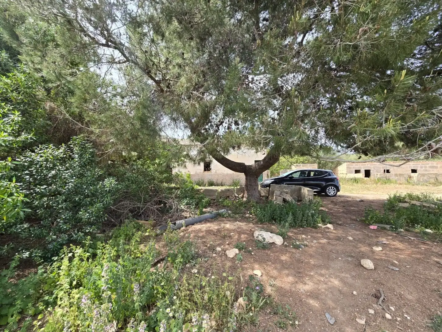 Finca rústica en venta en  Palma de Mallorca con Jardín privado, Terraza y Trastero