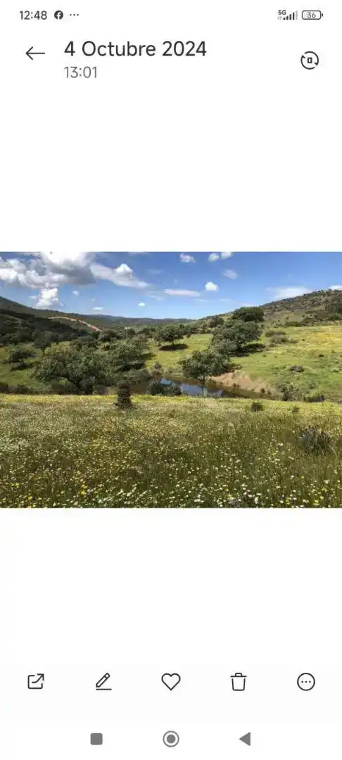 Piso en venta en Zufre