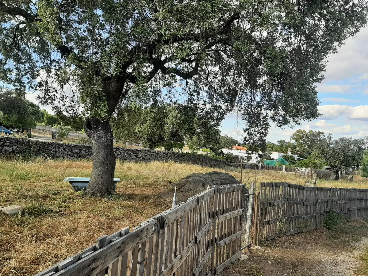 Terreni e lotti in vendita a Casar de Cáceres