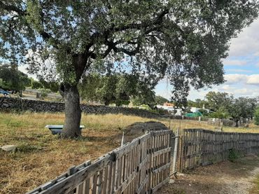 Terreny rústic en venda a Casar de Cáceres