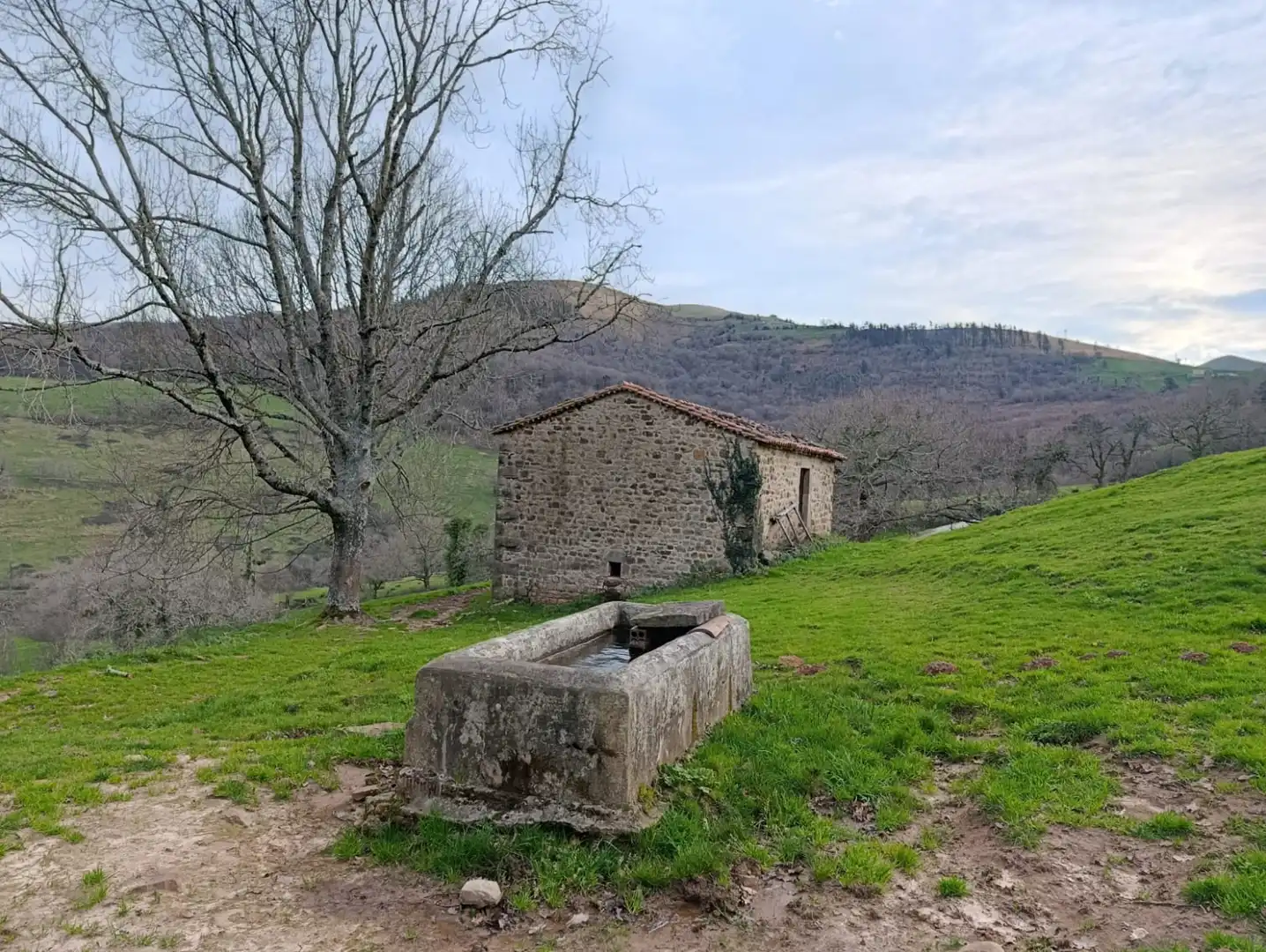 Casa o chalet en venta en Esles - GEIDO POLÍGONO 32 PARCELA 83, Santa María de Cayón