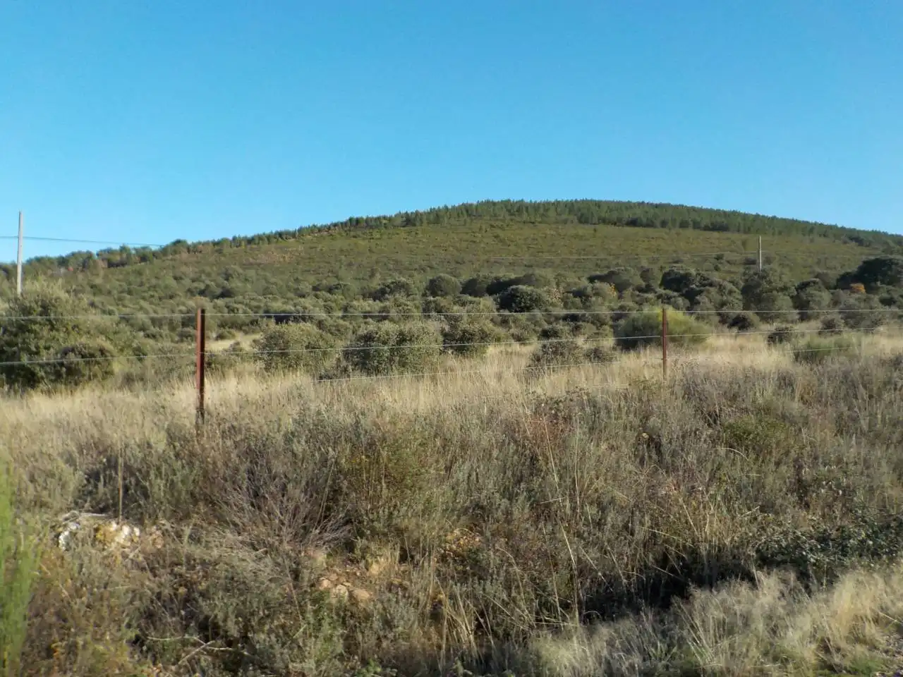 Terreny rústic en venda a Serradilla del Arroyo, imagen 6