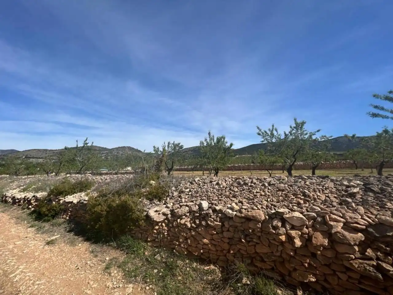 Chalet con jardín en venta en Calle Poligono, imagen 83