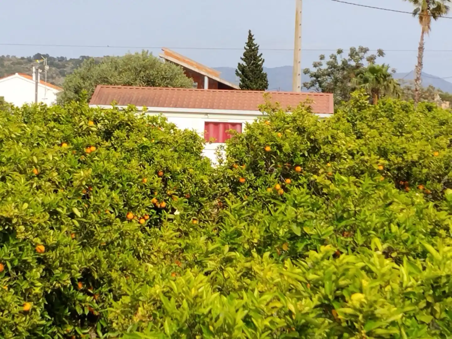 Terreno rustico in vendita a Corbera, imagen 2