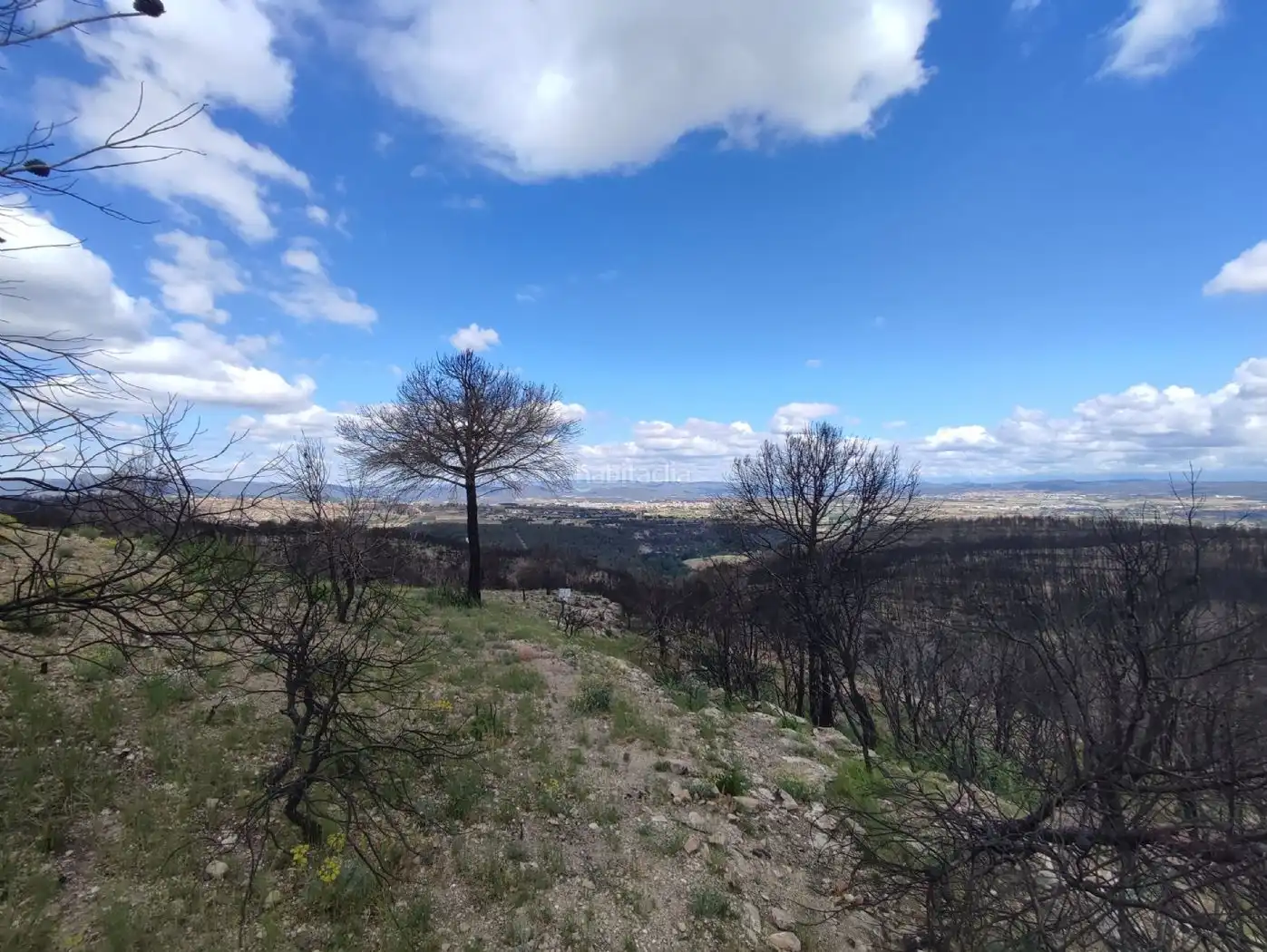 Wohnbaugrundstück zum Verkauf in Carrer Isard 23C, imagen 2