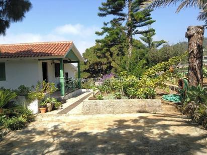 Garden of Country house for sale in Icod de los Vinos