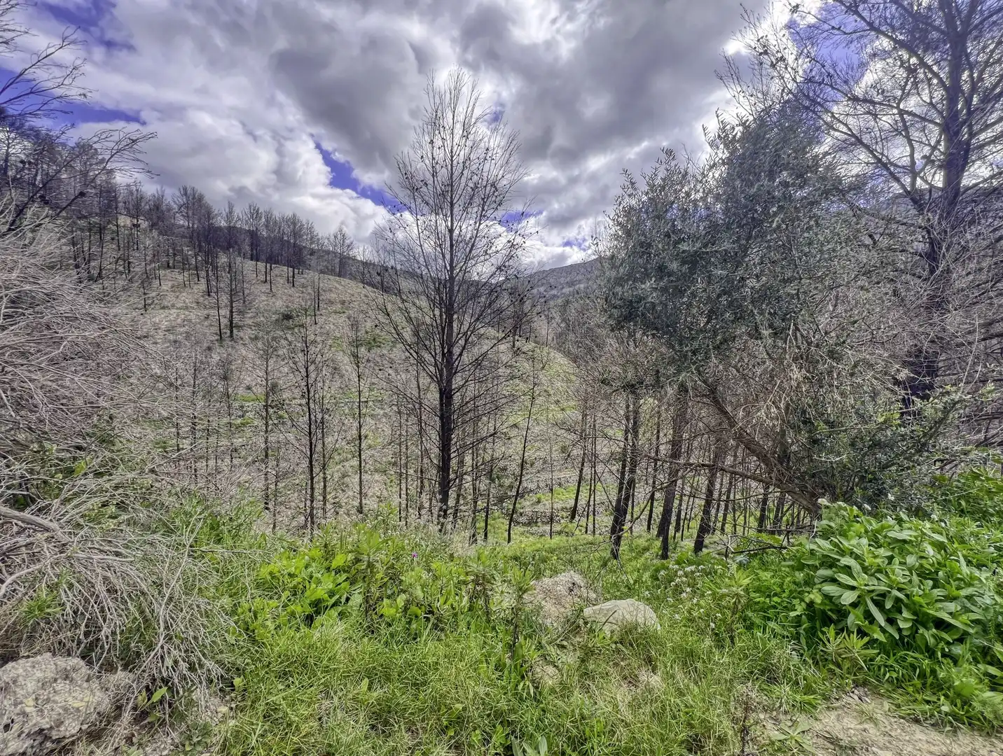 Residential for sale in Tàrbena