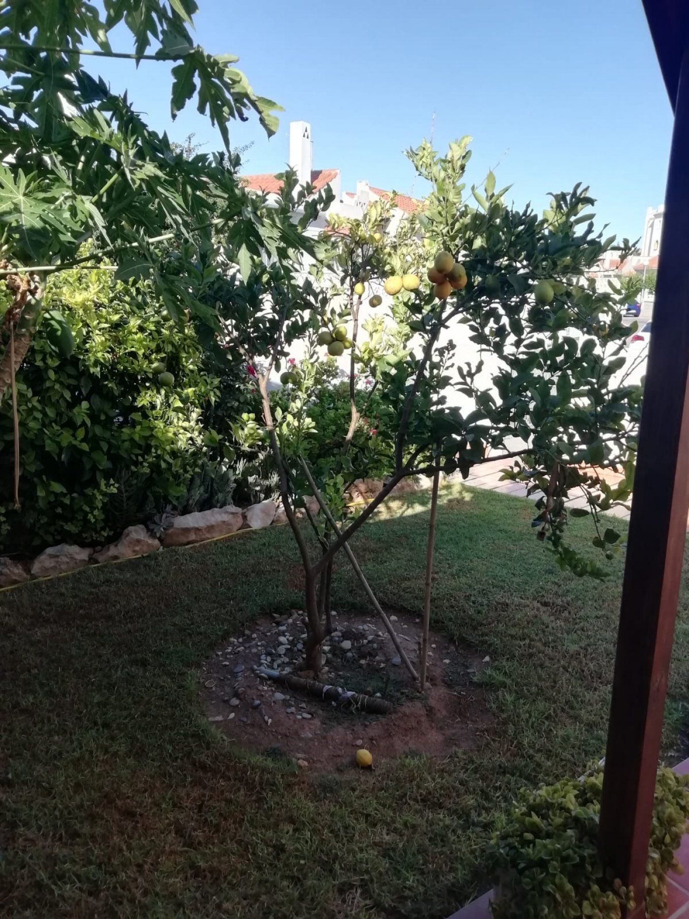 Jardí de Casa o xalet en venda en El Ejido amb Aire condicionat, Calefacció i Traster