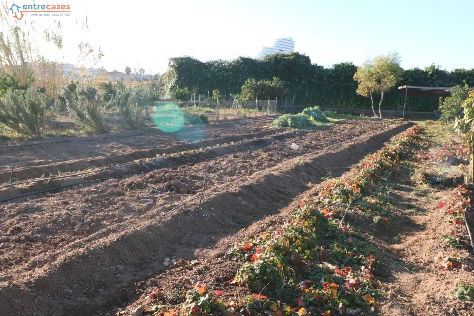 Rural land for sale in Canet d'En Berenguer, imagen 5