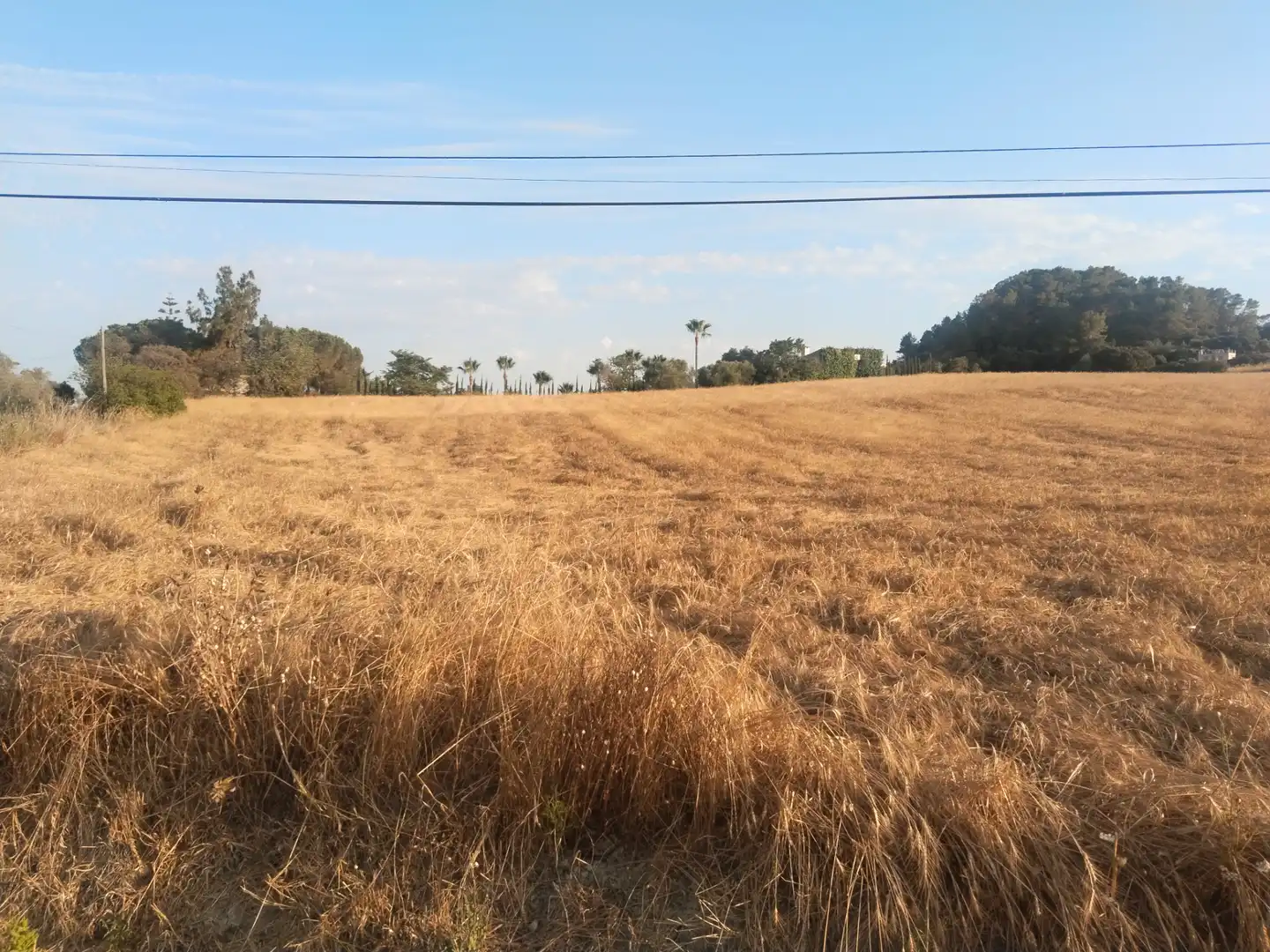 Terreno rustico in vendita a Sineu, imagen 6