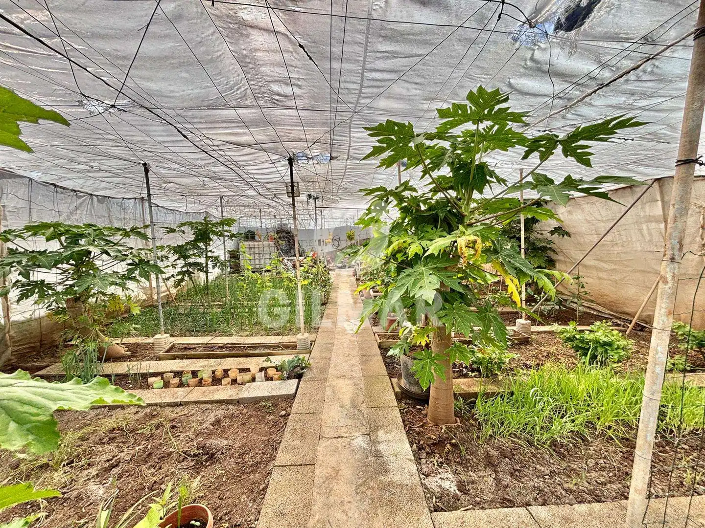 Jardí de Finca rústica en venda en Garachico amb Moblat