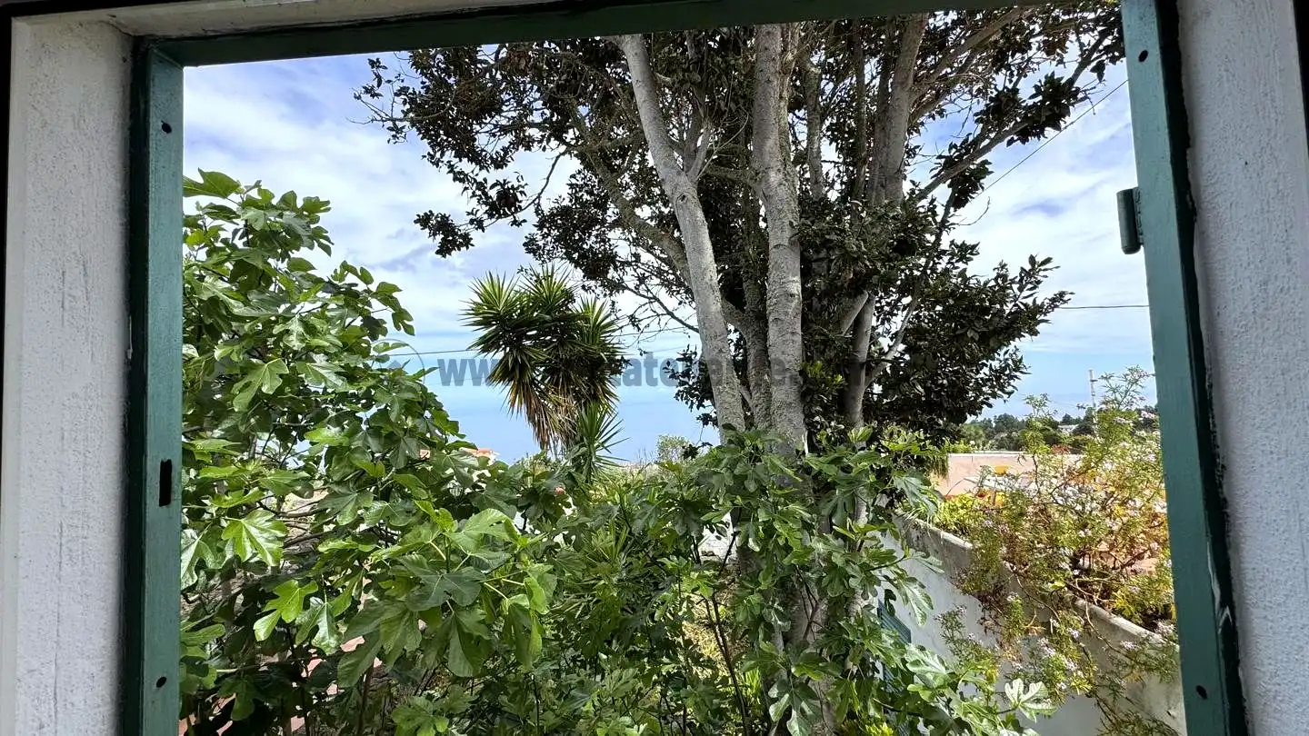 Vista exterior de Finca rústica en venta en Icod de los Vinos con Piscina