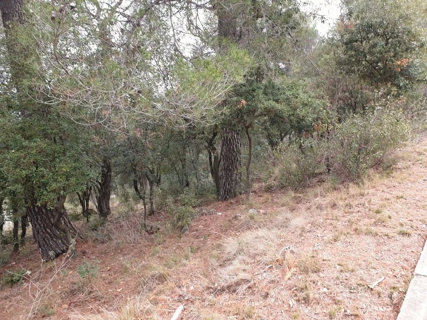 Terrain résidentiel à vendre à Matadepera, imagen 14