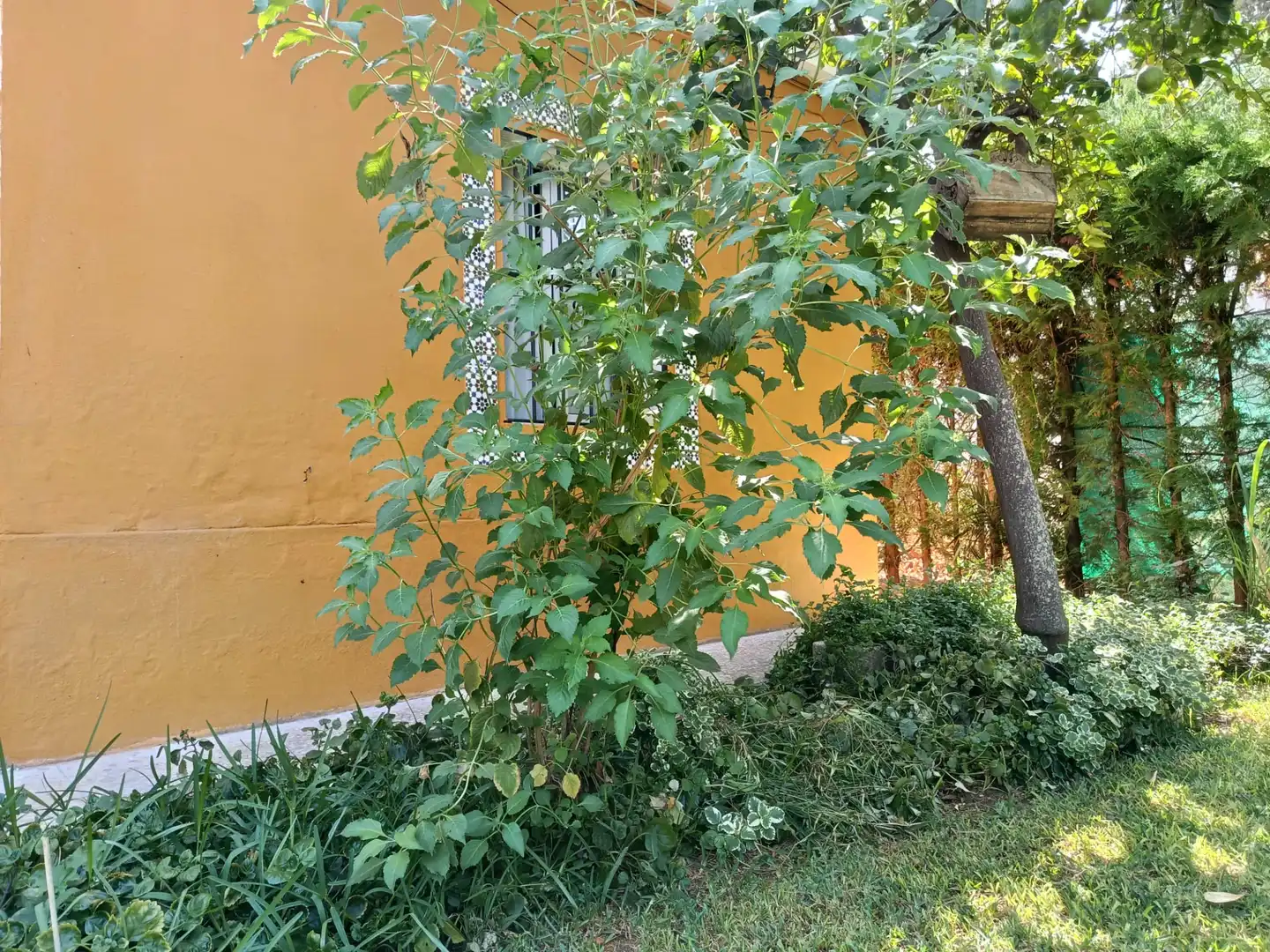 Villa avec piscine à louer à Urbanizacion el Campillo, imagen 44