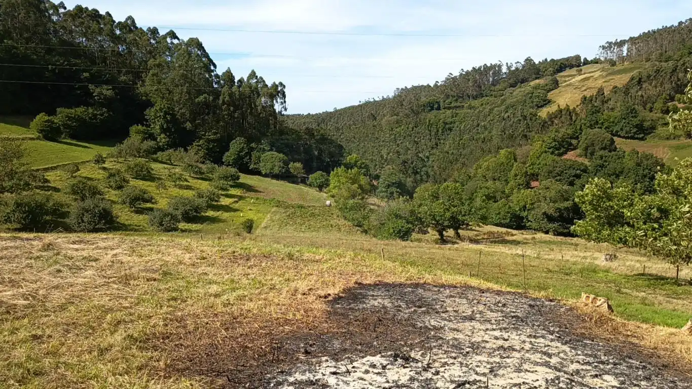 Grundstücke und Bauplätze zum Verkauf in Aldea Argañosa, imagen 3